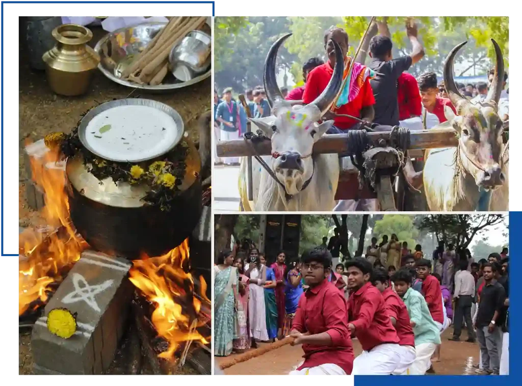 SRM MCET Pongal 2025